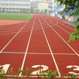 塑胶跑道-天津世纪宏达体育-塑胶跑道施工