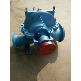 鹤壁300S110双吸泵-双能水泵厂
