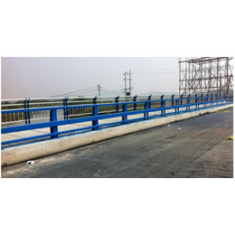 吉林高速公路桥梁护栏-山东神龙护栏生产公司(图)