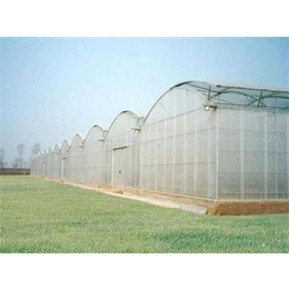 现代农业连栋温室-连栋温室-青州建发温室建设厂