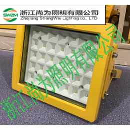 防爆LED泛光灯SW8140-40W-50W-60W厂家批发