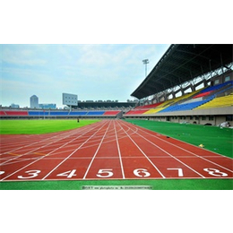 北京塑胶跑道公司-北京塑胶跑道-金康体育设施工程