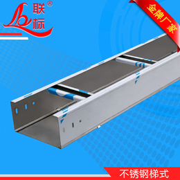 金属线槽-联标桥架有优势-桥架和金属线槽的价格