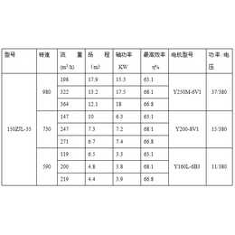 液下杂质泵厂家-强能工业泵