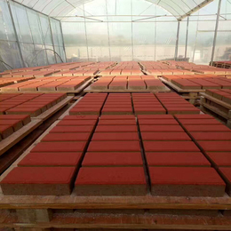 氧化铁红生产厂家 彩砖用颜料 透水砖用红颜料 彩色沥青用色粉