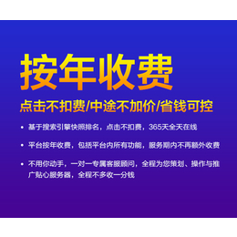 *网络推广厂家-网络推广-湖北九一搜霸