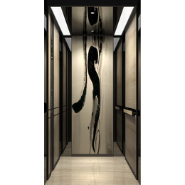 无锡无机房电梯-苏州奥裕浦机电设备-无机房电梯多少钱