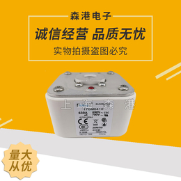 巴斯曼熔断器170M6410 欢迎订购