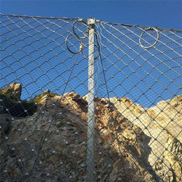 矿山防护边坡防护网「多图」