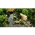 湖州屋顶花园-一禾园林*(图)-屋顶花园设计缩略图1