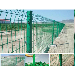 河池护栏网-超兴丝网防护网-绿色圈山护栏网