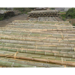 7米旗杆竹-三湘竹木建材-7米旗杆竹价格