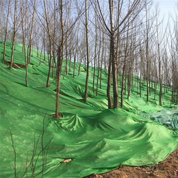 防尘网 工地裸土盖土网覆盖网 环保抑尘绿化网遮阳网