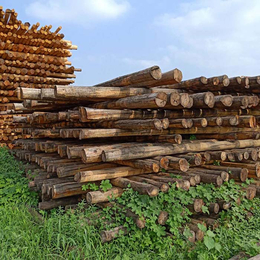防腐木杆厂家供应-防腐木杆价格报价-防腐木杆