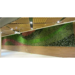 室内植物墙价格-美尚园艺(在线咨询)-植物墙价格