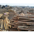 宏文木业(图)-河道木桩厂家-泰州河道木桩缩略图1