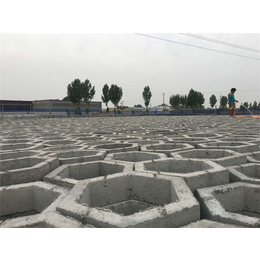 天津渗水砖厂-长旺建材公司(图)