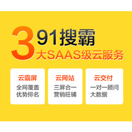 电子商务网络营销公司-黄冈网络营销公司-91搜霸(查看)