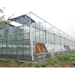 智能玻璃温室大棚棚顶-玻璃温室-千宏温室