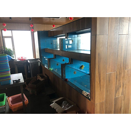 PVC海鲜池定制-福州PVC海鲜池-福州巨富海鲜池安装