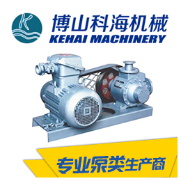 青海屏蔽泵生产厂家-科海泵业(在线咨询)-青海屏蔽泵