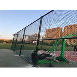 羽毛球场围网尺寸-安平鹏威(在线咨询)-羽毛球场围网