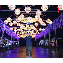 灯光艺术节公司-自贡远东(在线咨询)-河北灯光艺术节