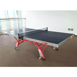 折叠移动式乒乓球台厂家供应-强利体育器材-东莞乒乓球台厂家