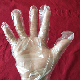 塑料薄膜手套-一次塑料薄膜手套-韩佳塑料薄膜手套(诚信商家)