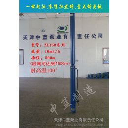 潜水泵厂家-天津中蓝泵业